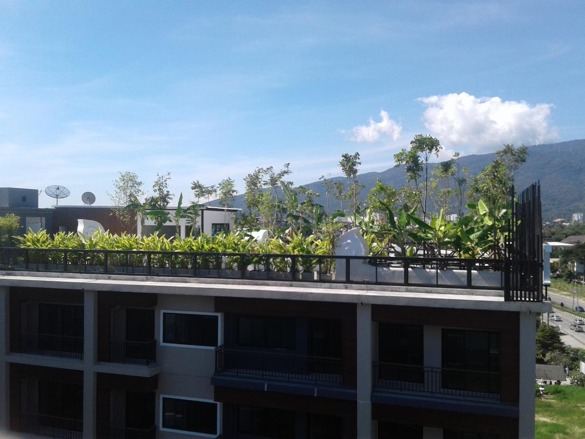 Icheck Inn Trams Square Chiang Mai Luaran gambar